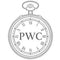 Premium Watch care
